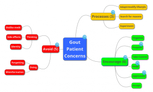 Gout Patient Concerns Map with notes